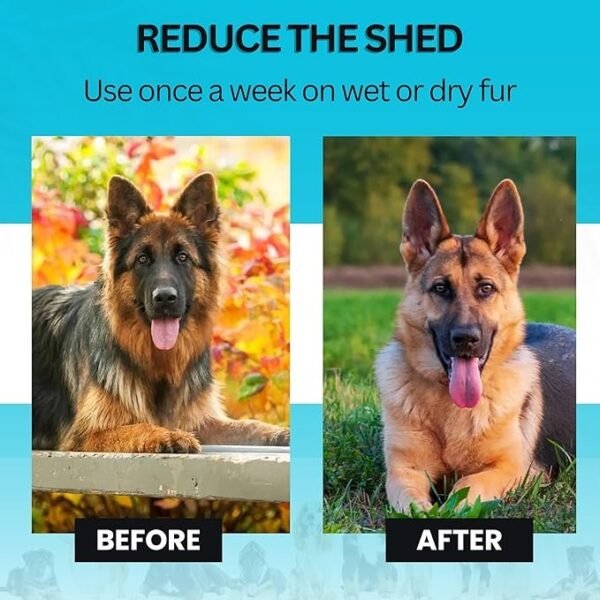 Candure Dematting Comb for Dog - Image 4