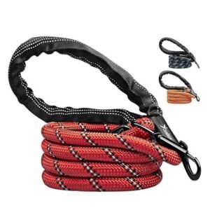 Candure Dog Lead with Soft Padded