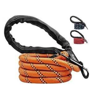 Candure Dog Lead, 5 FT, Orange